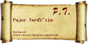 Pajor Terézia névjegykártya